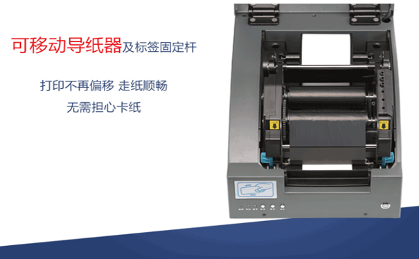 1551681846385186.jpg 9800內(nèi)臟.jpg